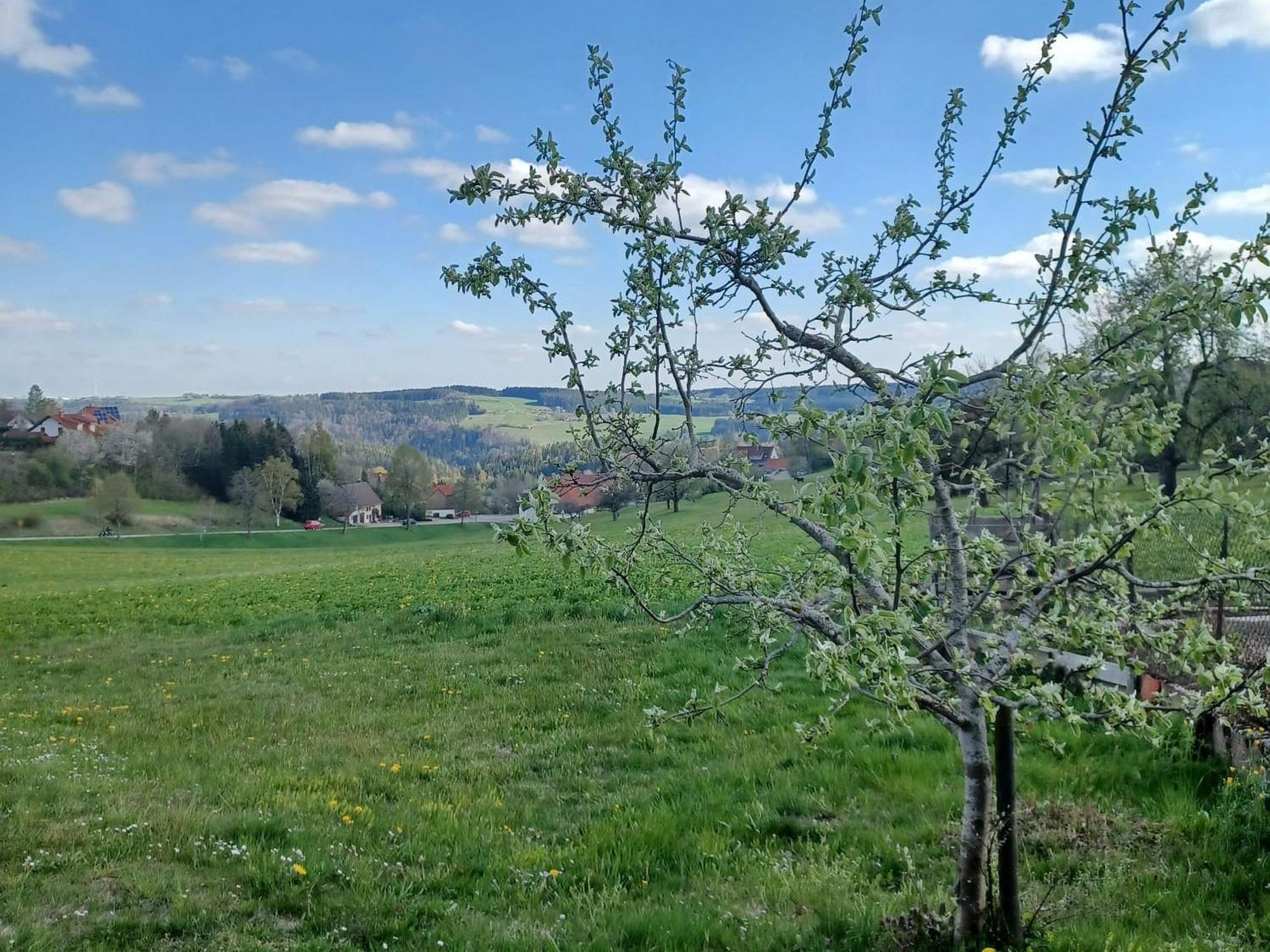 Landhaus Alpenpanorama Loeffingen Luaran gambar