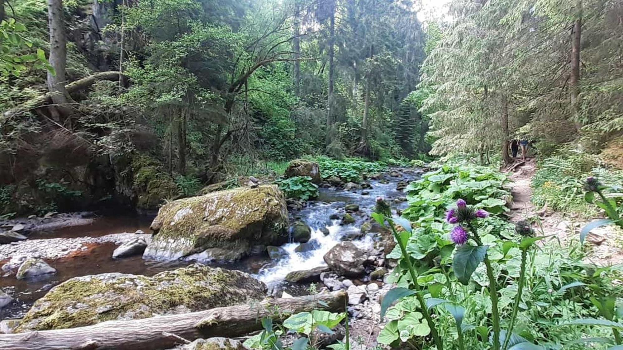 Landhaus Alpenpanorama Loeffingen Luaran gambar